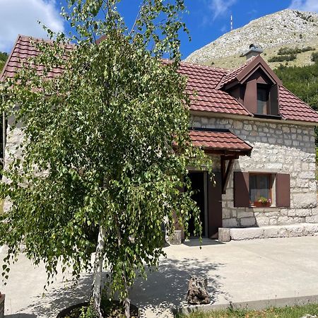 Lovcen Holiday Home Cetinje Extérieur photo