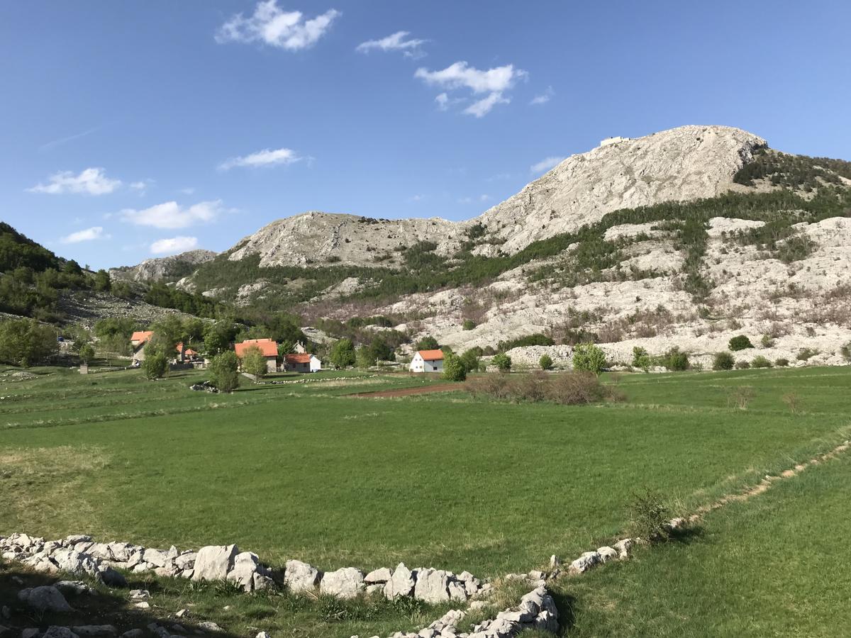 Lovcen Holiday Home Cetinje Extérieur photo